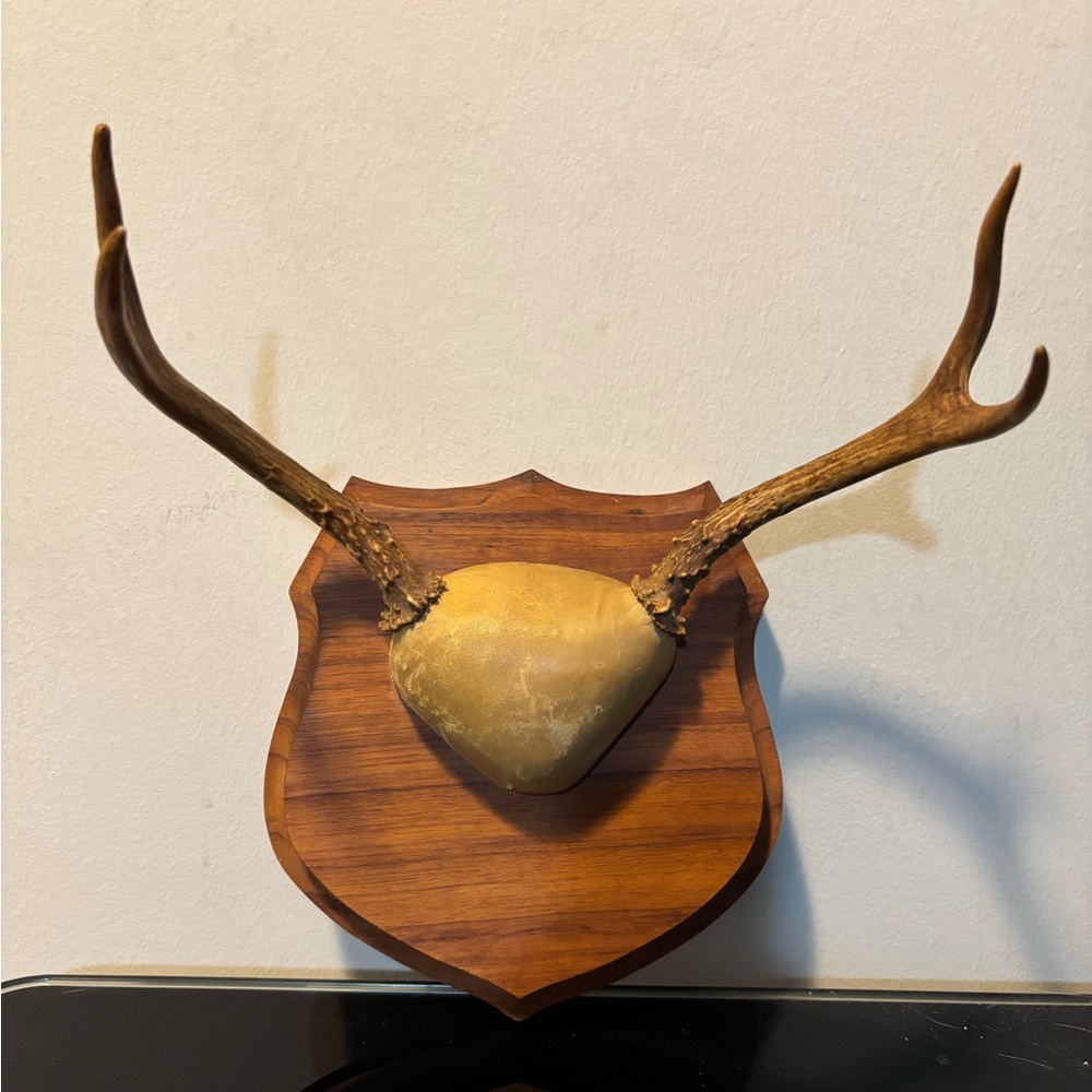 Antique Rustic Antler Wall Decor